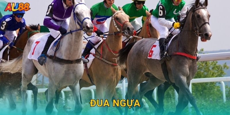 Đua ngựa kịch tính – Theo dõi từng cú bứt tốc tại Au88 10 Đua ngựa kịch tính – Theo dõi từng cú bứt tốc tại Au88