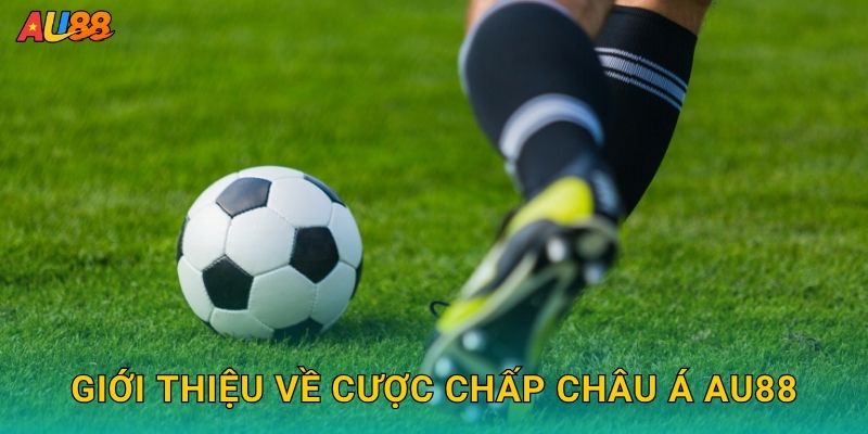 Giới thiệu về Cược chấp châu Á Au88